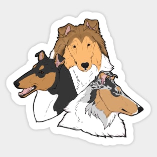 Pointy Herding Dogs! (Collies) Sticker